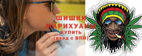 ПСИЛОЦИБИНОВЫЕ ГРИБЫ Баксан