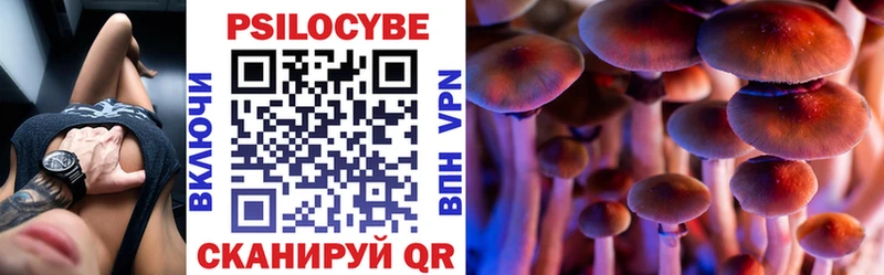 Галлюциногенные грибы Cubensis  Новая Ладога 